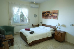 אוחנה אירוח כפרי - House near Hermon